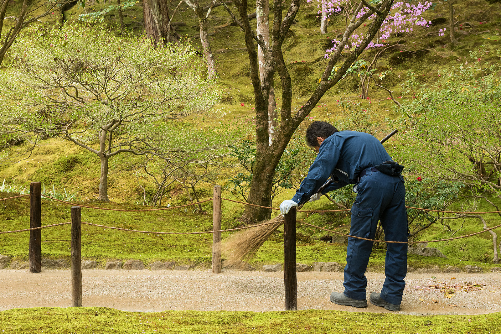 Japan 2018