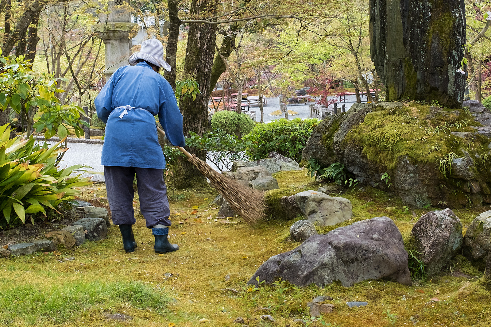 Japan 2018