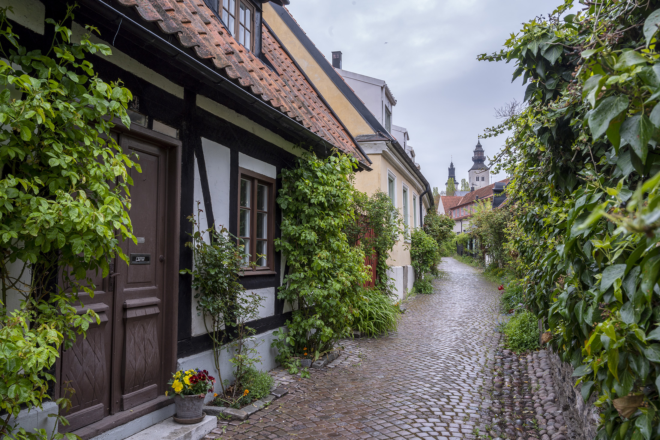 Hyggelig gade, Visby